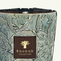 baobab collection brame sylvanus candle max 24