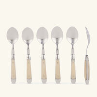 Acrylic Handle Coffee Spoon Silver Set of 6 forge de laguiole acrylic handle coffee spoon silver set of 6