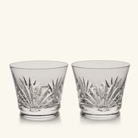 طقم إيفردي لوتيشا المؤلف من كأسين شفافين باكارا طقم إيفردي لوتيشا المؤلف من كأسين شفافين