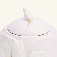 فيلاري وعاء السكر توليب وردي