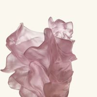 Poetic by Tamara Ralph Vase Small Pink Limited Edition daum poetic by tamara ralph vase small pink limited edition