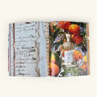 assouline guerlain  visionary since 1828 book 10x13cm
