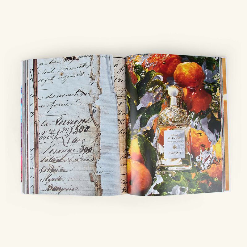 assouline guerlain  visionary since 1828 book 10x13cm