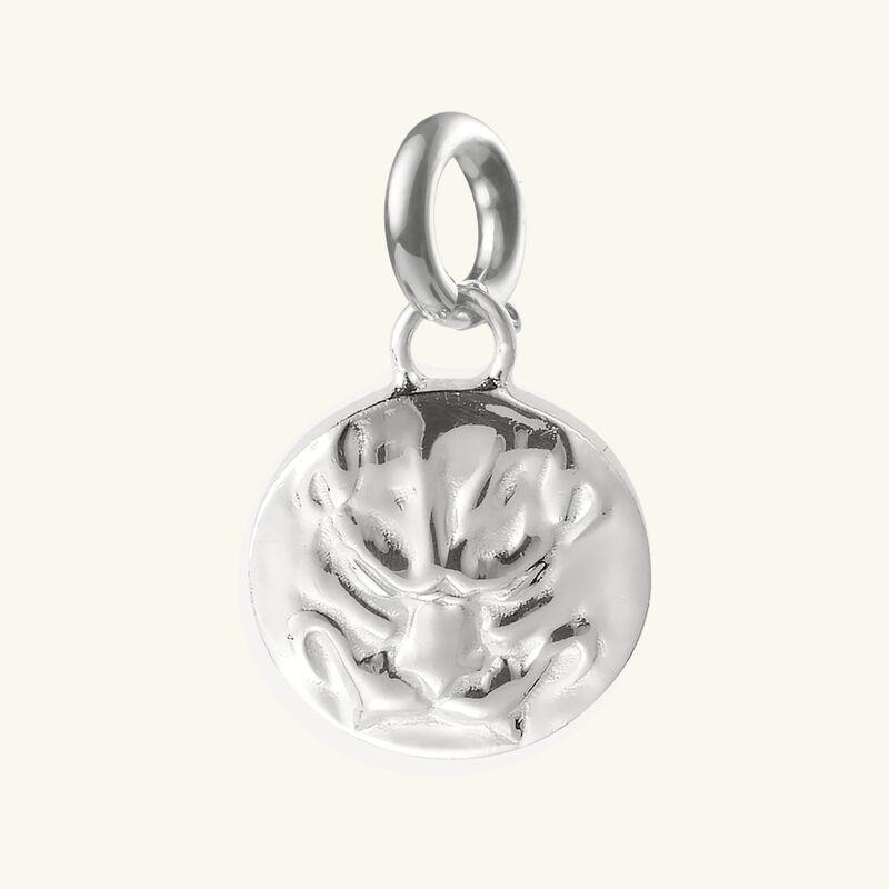 كريستوفل دلاية شري شري بو دو ليون فضية