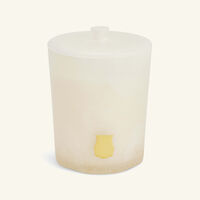 Ernesto Candle 270g trudon ernesto candle 270g