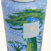 Sacred Trees Yarani Diffuser 500ml baobab collection sacred trees yarani diffuser 500ml