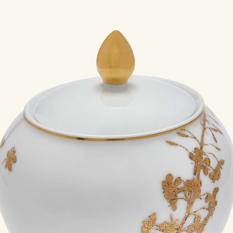 برناردو سكرية فيجيتال أور باللون الذهبي