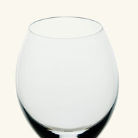 baccarat passion champagne glass clear set of 2