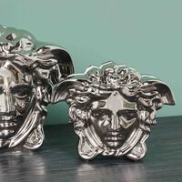 فيرساتشي مزهرية ميدوزا جراندي صغيرة باللون الفضي