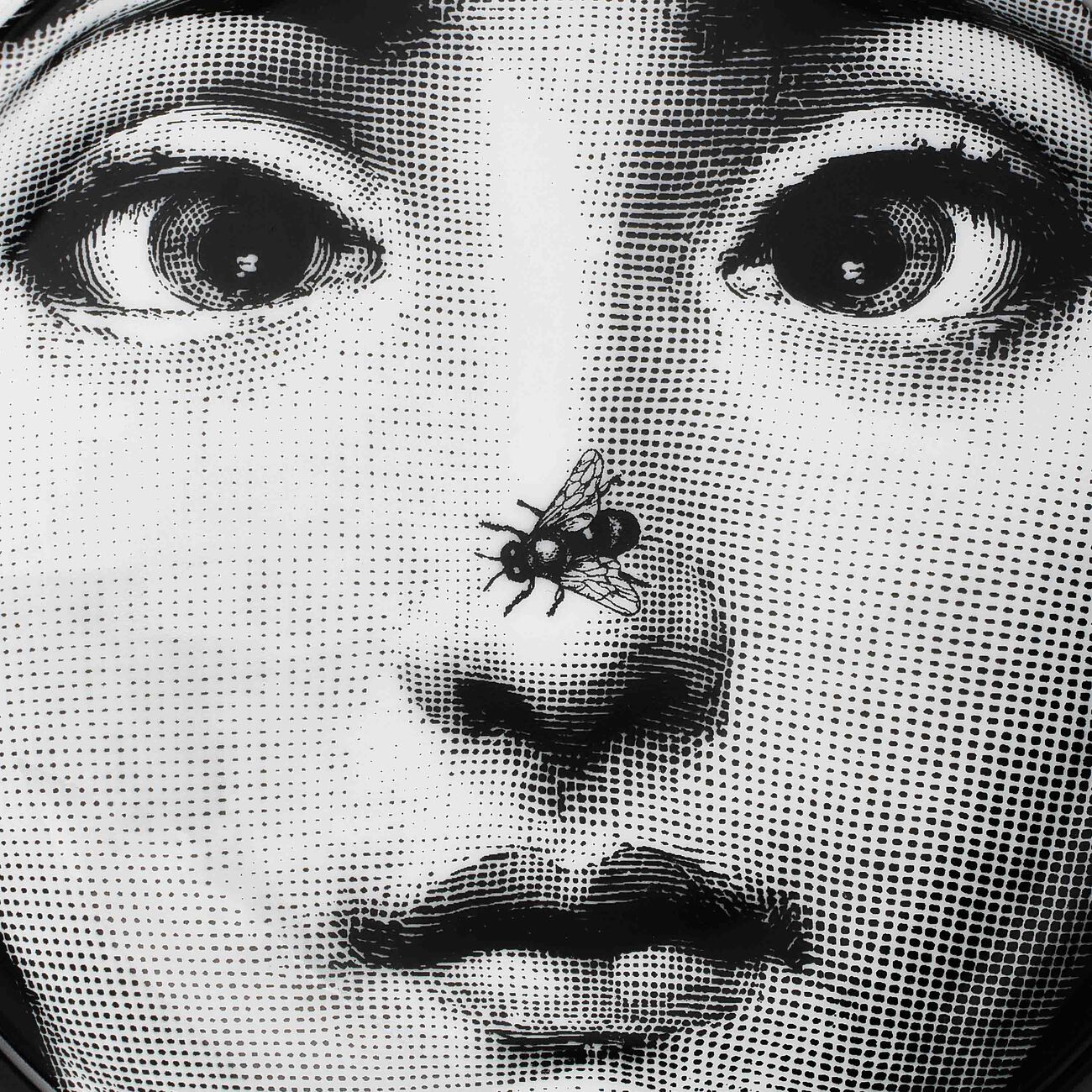 fornasetti tema e variazioni ashtray round grey