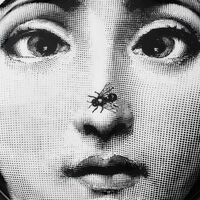 fornasetti tema e variazioni ashtray round grey