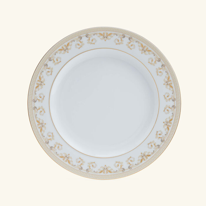 فيرساتشي طبق الطعام ميدوزا جالا أبيض 27 سم