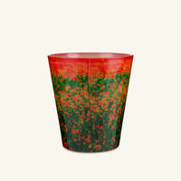 baobab collection poppies candles max 16