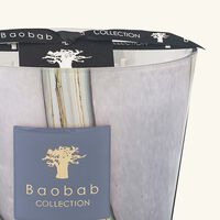 baobab collection woods broceliande candle max 10