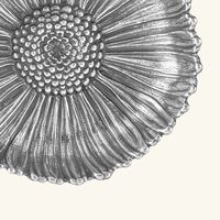 وعاء على شكل زهرة الخشخاش فضي بحجم كبير بوتشيلاتي وعاء على شكل زهرة الخشخاش فضي بحجم كبير