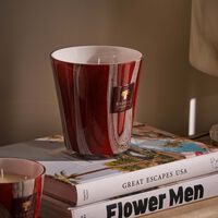 Woods Risoud Candle Max 16 baobab collection woods risoud candle max 16