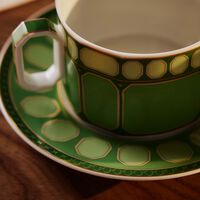 rosenthal signum fern tea cup   saucer green