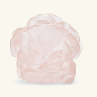 دوم منحوتة كاميليا فلاور صغيرة جدًا وردية