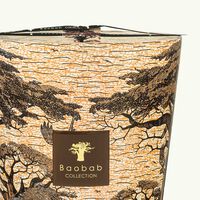 Sacred Trees Mankono Candle Max 35 baobab collection sacred trees mankono candle max 35