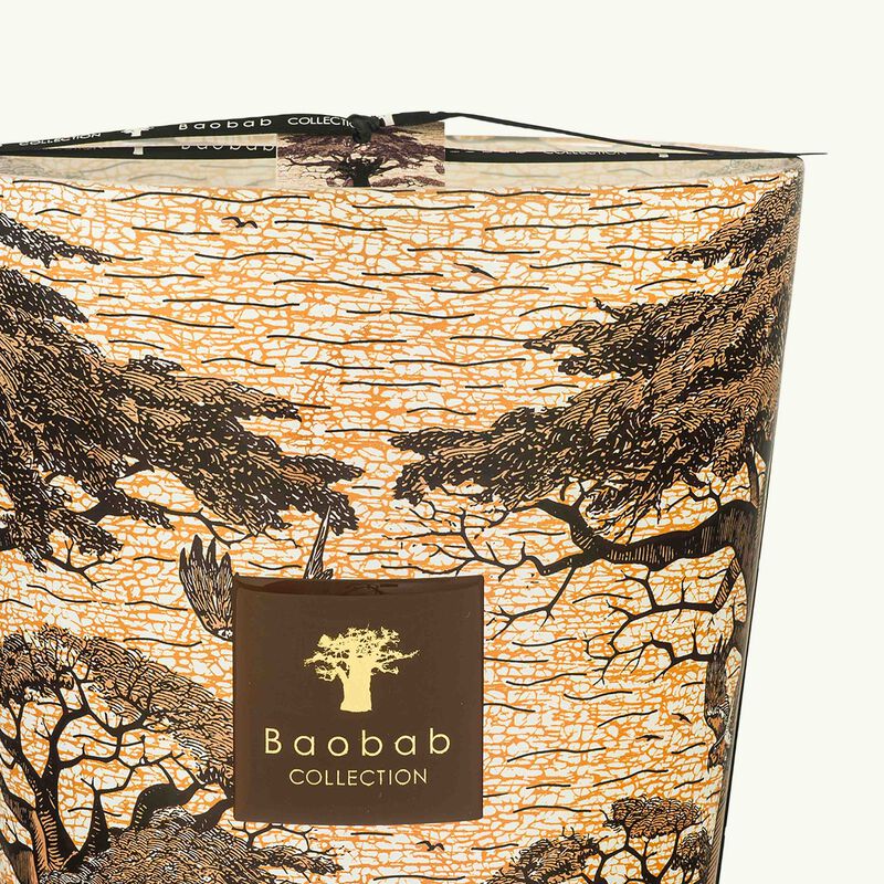 Sacred Trees Mankono Candle Max 35 baobab collection sacred trees mankono candle max 35