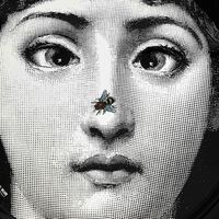 Tema e Variazioni no.363 Tray Round Large fornasetti tema e variazioni no 363 tray round large