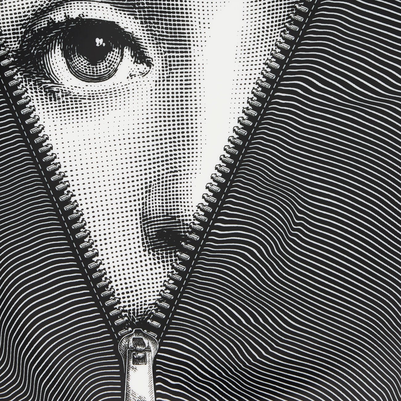 fornasetti tema e variazioni no 401 wall plate