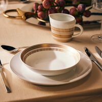 bernardaud canisse soup plate round brown 19cm