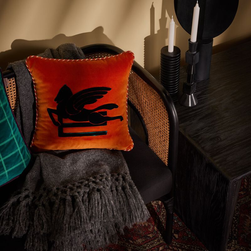 etro new valira embroidered pillow