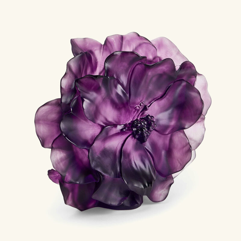 دوم مزهرية كاميليا متوسطة وردية