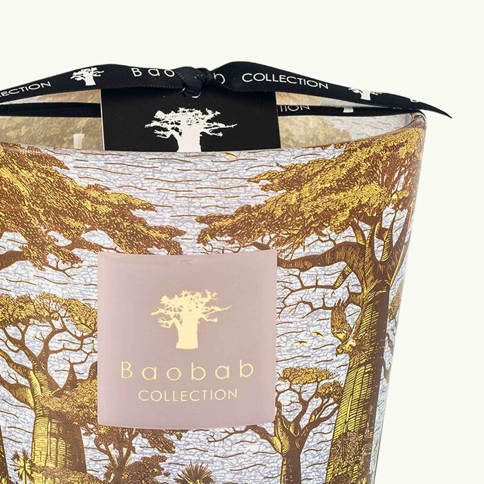 baobab collection sacred trees boukani candle max 10