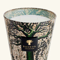 Sacred Trees Kani Candle Max 16 baobab collection sacred trees kani candle max 16