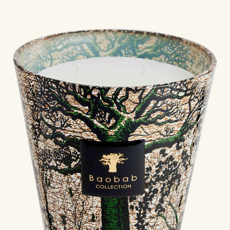 Sacred Trees Kani Candle Max 16 baobab collection sacred trees kani candle max 16