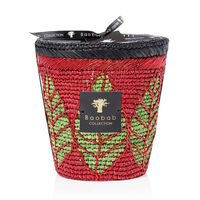 Hazo Noely baobab collection hazo noely