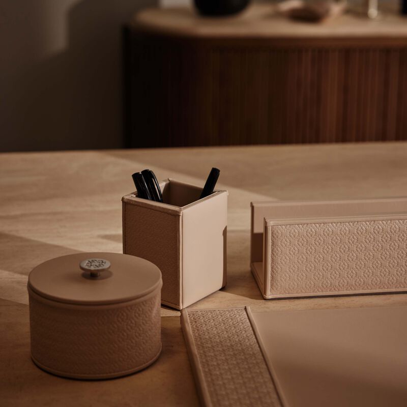 جيوبانيارا حامل أقلام إيلي صعب مونوغرام تورون باللون البيج