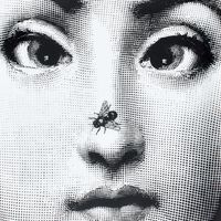 fornasetti tema e variazioni no 363 ashtray rectangular grey