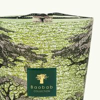 Sacred Trees Touba Candle Max 35 baobab collection sacred trees touba candle max 35