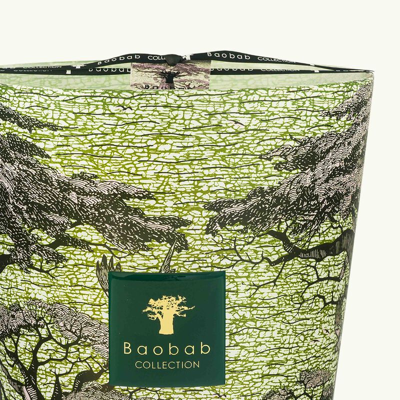 Sacred Trees Touba Candle Max 35 baobab collection sacred trees touba candle max 35