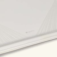 كريستوفل صينية أفير سبيسيال مستطيلة صغيرة مطلية بالفضة لياسمين الملا