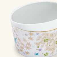 برناردو وعاء الصلصات فيري وردي