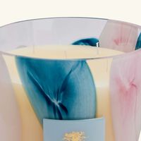 baobab collection riviera leopolda candle max 24