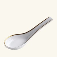 bernardaud sol chinese spoon