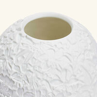 bernardaud les orchides lithophanie