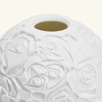 Roses Lithophanie bernardaud roses lithophanie