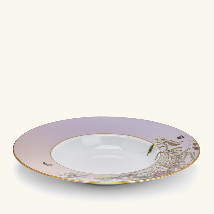haviland le br sil soup plate 28cm