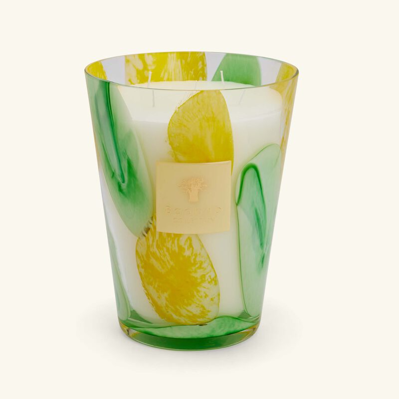 باوباب شمعة ريفييرا سانتو سوسبير ماكس 24