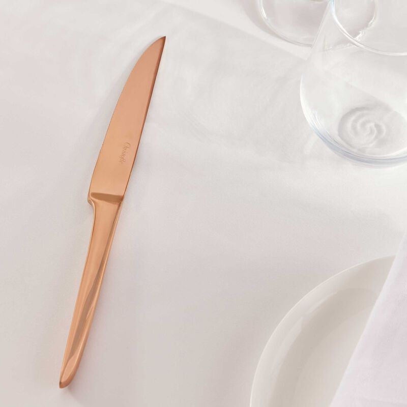 سكين الستيك لام دو كريستوفل وردي