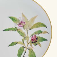 bernardaud jardin indien serving platter round green 32cm