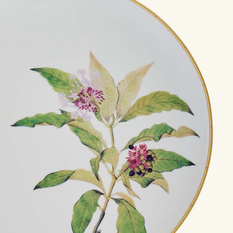 bernardaud jardin indien serving platter round green 32cm