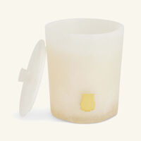 Ernesto Candle 270g trudon ernesto candle 270g