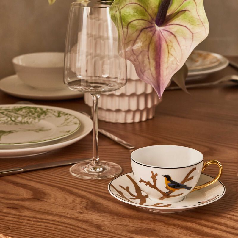 برناردو فنجان الشاي أو زوازو مع صحنه باللون الذهبي